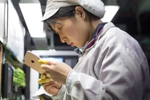 富士康全力保障iPhone 12生產(chǎn)，但延期發(fā)布與軟件開發(fā)現(xiàn)狀影響市場預(yù)期