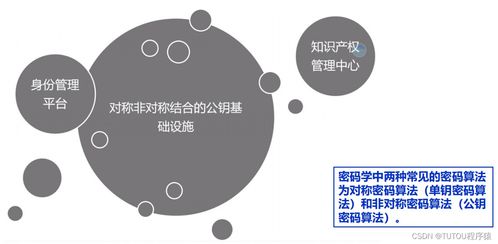物聯(lián)網(wǎng)安全架構(gòu)、基礎(chǔ)設(shè)施與安全軟件開發(fā) 構(gòu)建可信的互聯(lián)世界