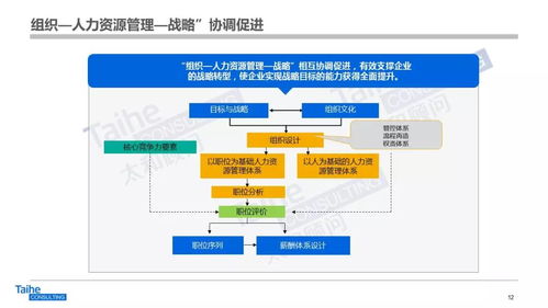 構(gòu)建以網(wǎng)絡(luò)技術(shù)開發(fā)為驅(qū)動(dòng)的人力資源管理體系，助力企業(yè)實(shí)現(xiàn)跨越式發(fā)展